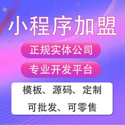從源碼到生態 微信小程序創業的多元路徑與代理機遇
